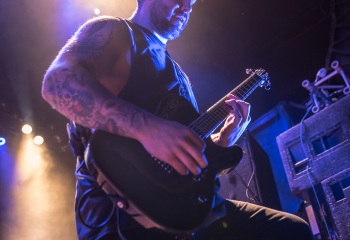 Our Hollow, Our Home - Photo By Marc