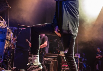 Our Hollow, Our Home - Photo By Marc