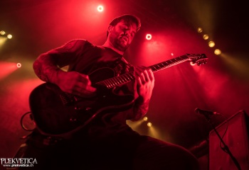 Our Hollow, Our Home - Photo By Marc