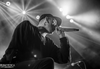 Our Hollow, Our Home - Photo By Marc