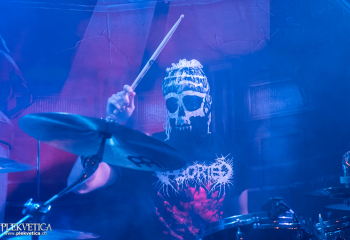 Pertness - Photo by Nati