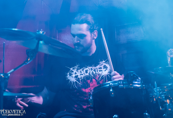 Pertness - Photo by Nati