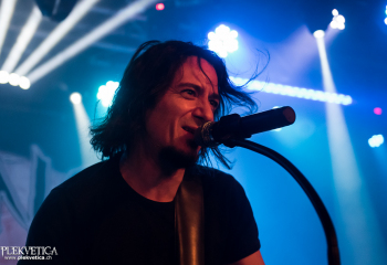 Pertness - Photo by Nati