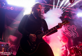 Pertness - Photo by Nati