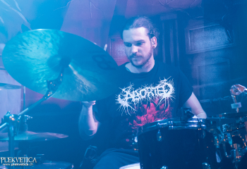 Pertness - Photo by Nati