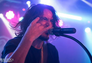 Pertness - Photo by Nati