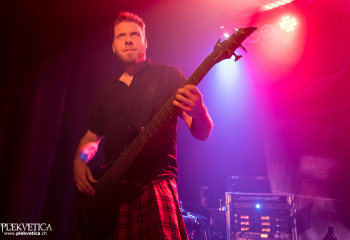 Pertness - Photo by Nati