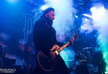 Pertness - Photo by Nati