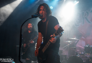 Pertness - Photo by Nati