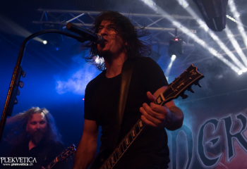 Pertness - Photo by Nati