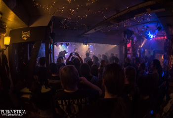 Pertness - Photo By Marc