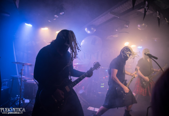 Pertness - Photo By Marc