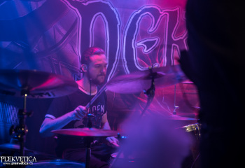 Pertness - Photo By Marc