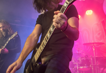 Pertness - Photo By Marc