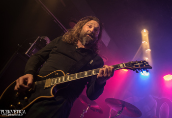 Pertness - Photo By Marc