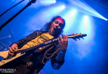 Stallion - Photo by Marc