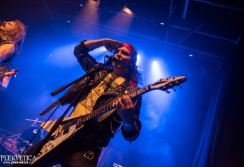 Stallion - Photo by Marc