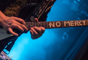 Stallion - Photo by Marc