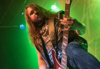 Stallion - Photo by Marc