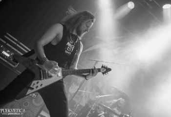 Stallion - Photo by Marc