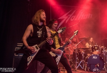 Stallion - Photo by Marc