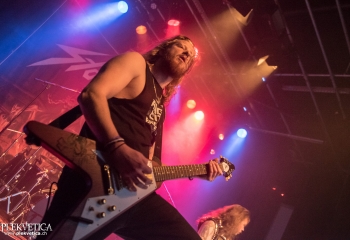 Stallion - Photo by Marc