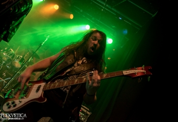 Stallion - Photo by Marc