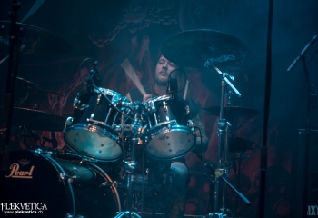 Stallion - Photo by Marc