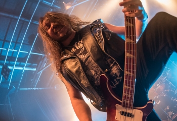 Stallion - Photo by Marc