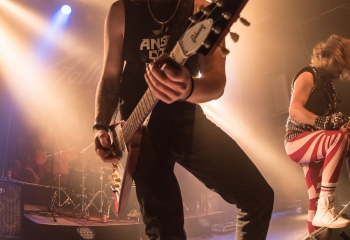 Stallion - Photo by Marc