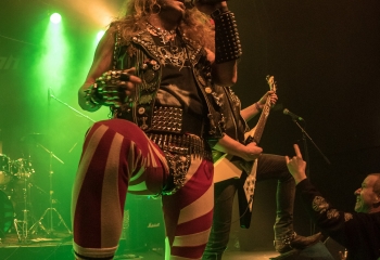 Stallion - Photo by Marc