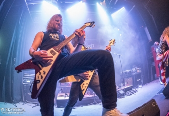 Stallion - Photo by Marc