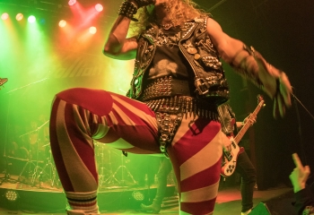 Stallion - Photo by Marc