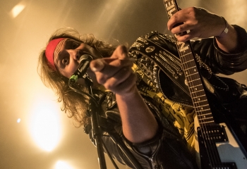 Stallion - Photo by Marc