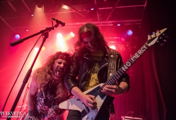 Stallion - Photo by Marc