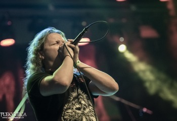 Sublime Cadaveric Decomposition - Photo By Dänu