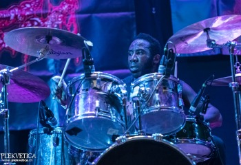 Sublime Cadaveric Decomposition - Photo By Dänu