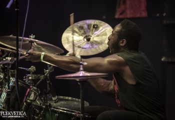 Sublime Cadaveric Decomposition - Photo By Dänu