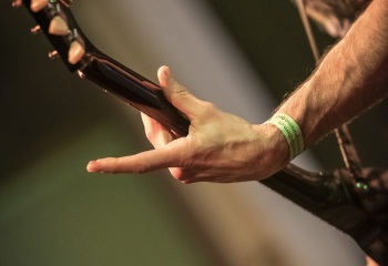 Sublime Cadaveric Decomposition - Photo By Dänu