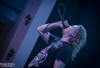 Sublime Cadaveric Decomposition - Photo By Dänu