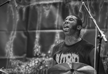 Sublime Cadaveric Decomposition - Photo By Dänu