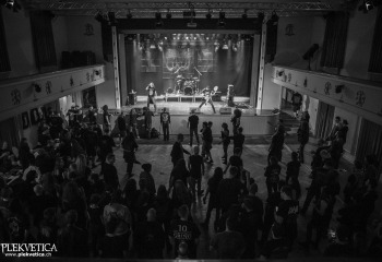 Sublime Cadaveric Decomposition - Photo By Dänu