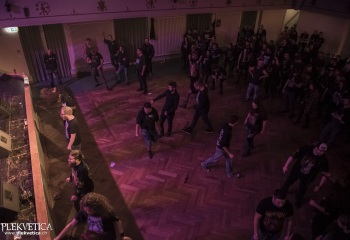 Sublime Cadaveric Decomposition - Photo By Dänu