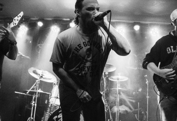 Swarms - Photo by Roli