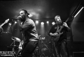 Swarms - Photo by Roli