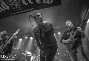 Swarms - Photo by Roli