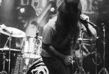 Swarms - Photo by Roli