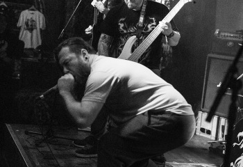 Swarms - Photo by Roli