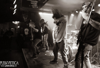 Swarms - Photo by Roli