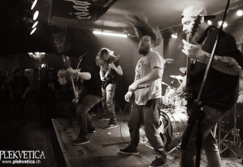 Swarms - Photo by Roli